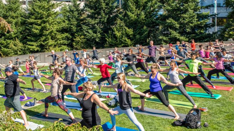 Free Yoga, Zumba, art making at Olympic Sculpture Park in