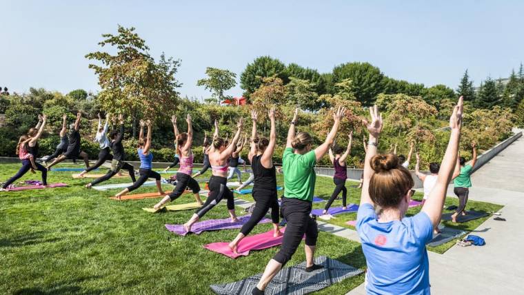 Free Yoga, Zumba, art making at Olympic Sculpture Park in